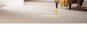pay weekly carpets